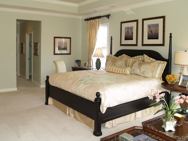 Local Bedroom Painting in Savage, MN