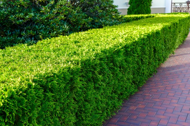 Brick Hardscaping
