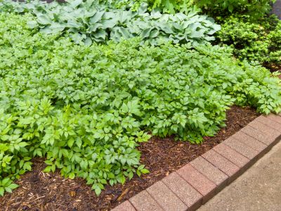 Local Brick Hardscaping in Stoughton, MA