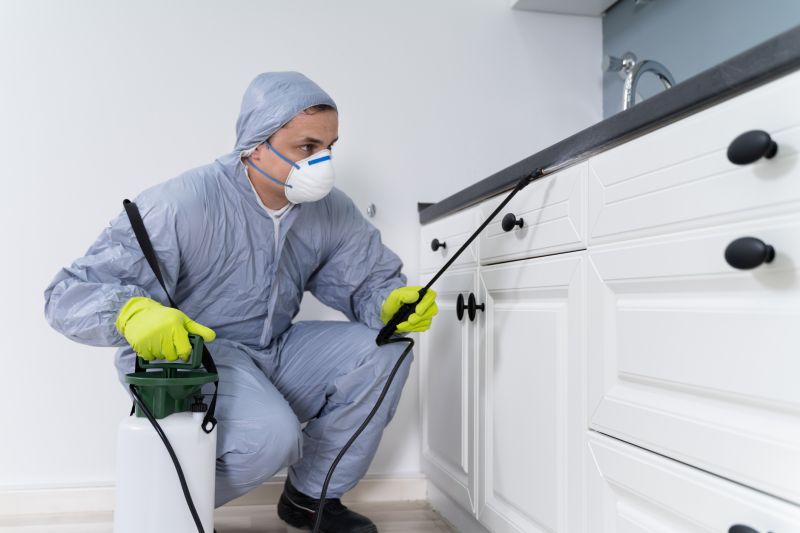Local Bug Extermination Service in Dallas, TX