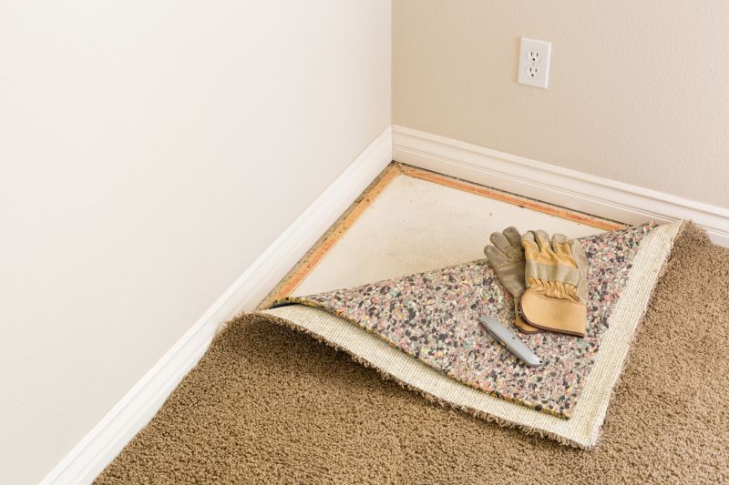 Local Carpet Replacement in Minnetonka, MN