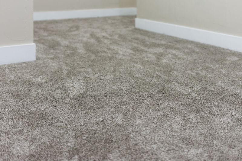 Carpet Service