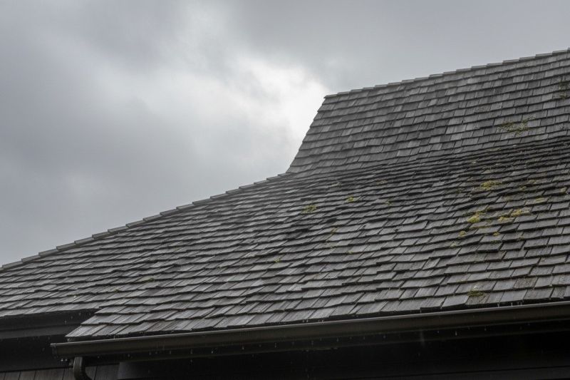 Local Cedar Shingles Replacement in Swansea, MA