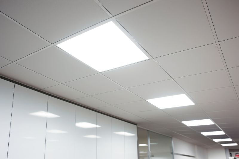 Ceiling Smoothing Service