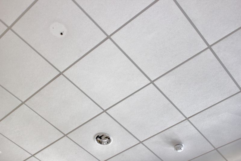 Ceiling Smoothing Service