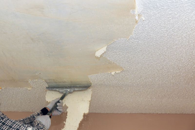 Local Ceiling Texture Removal in Rogers, MN