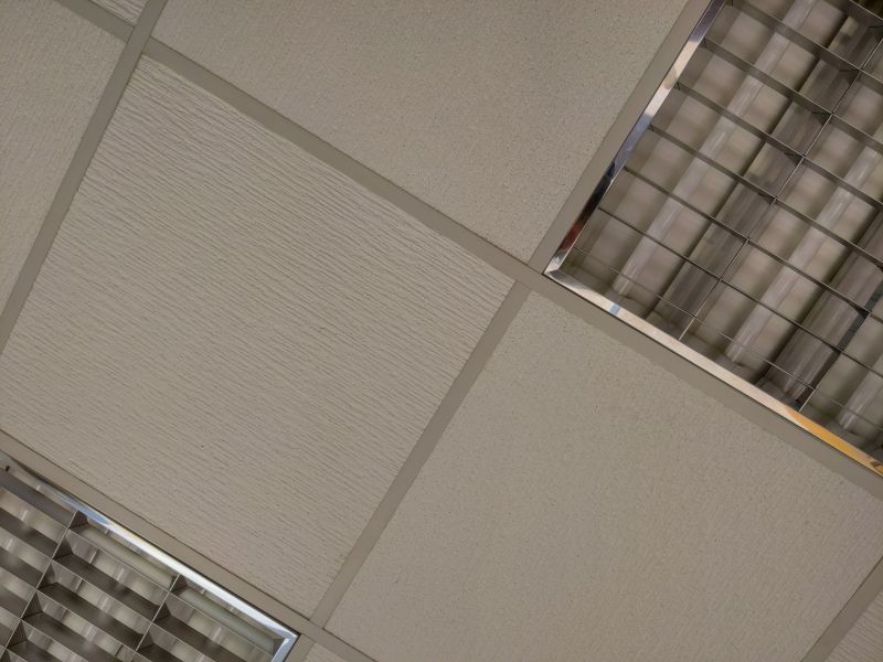 Ceiling Texture Removal