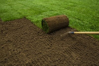 Commercial Sod Installation
