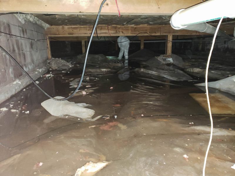 Local Crawlspace Waterproofing in North East, MD