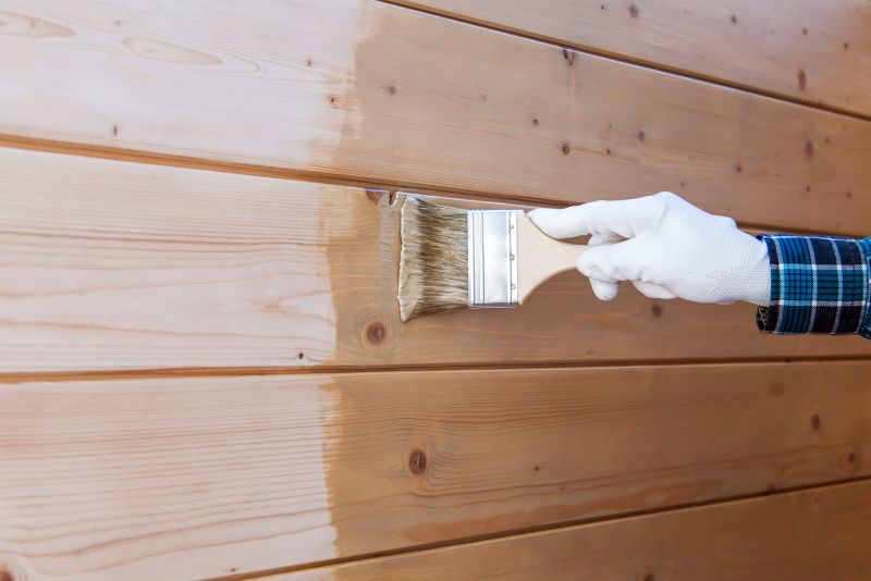 Local Exterior Cladding Painting in Morrison, CO