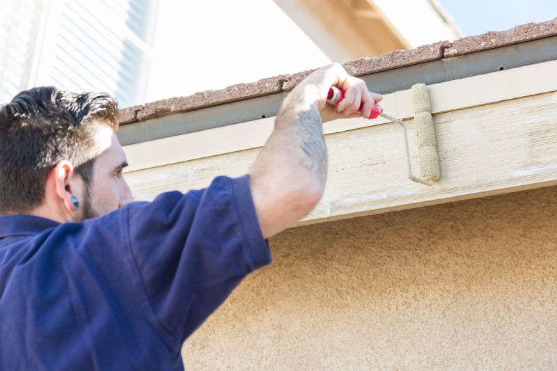 Local Exterior Painting in Wellington, CO