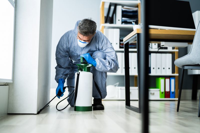 Local Extermination Service in Delavan, WI