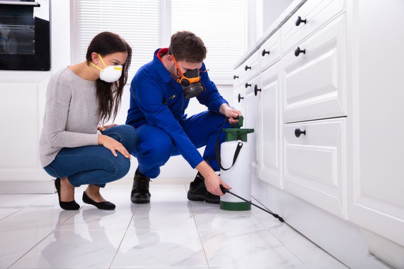 Local Extermination Service in Glen Ellyn, IL
