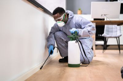 Extermination Service