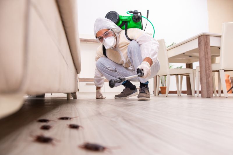 Local Extermination Service in Mundelein, IL