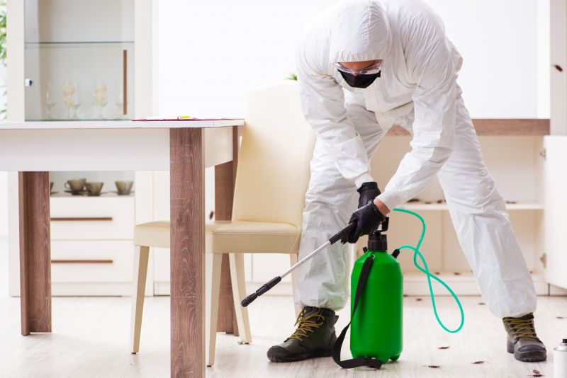 Local Extermination Service in North Salt Lake, UT