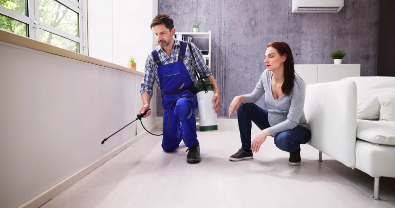 Local Extermination Service in Plano, TX
