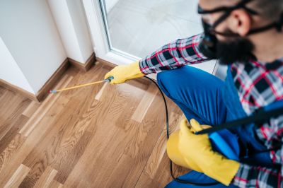 Local Flea Extermination in Oshkosh, WI