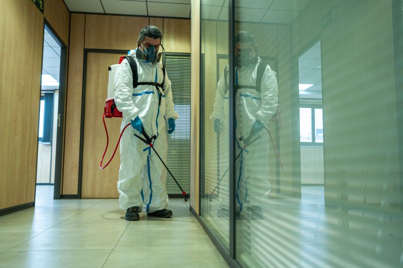 Flea Fumigation