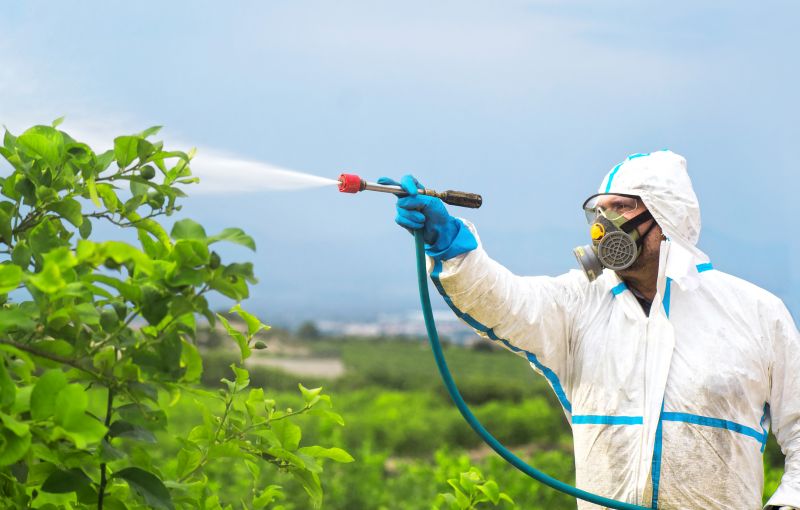 Flea Fumigation