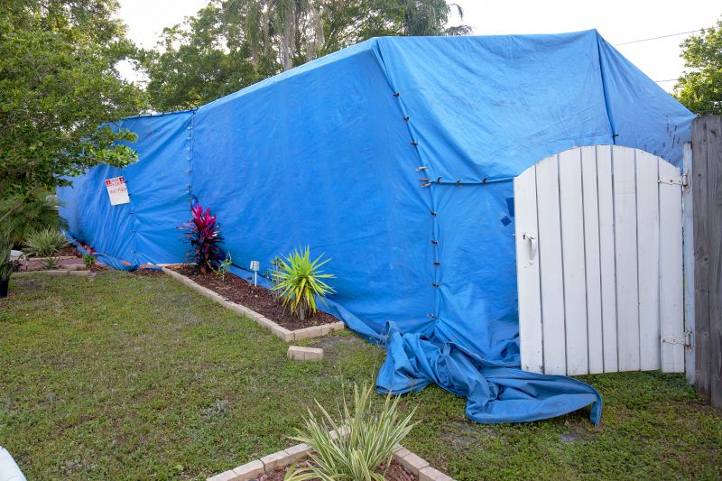 Flea Fumigation