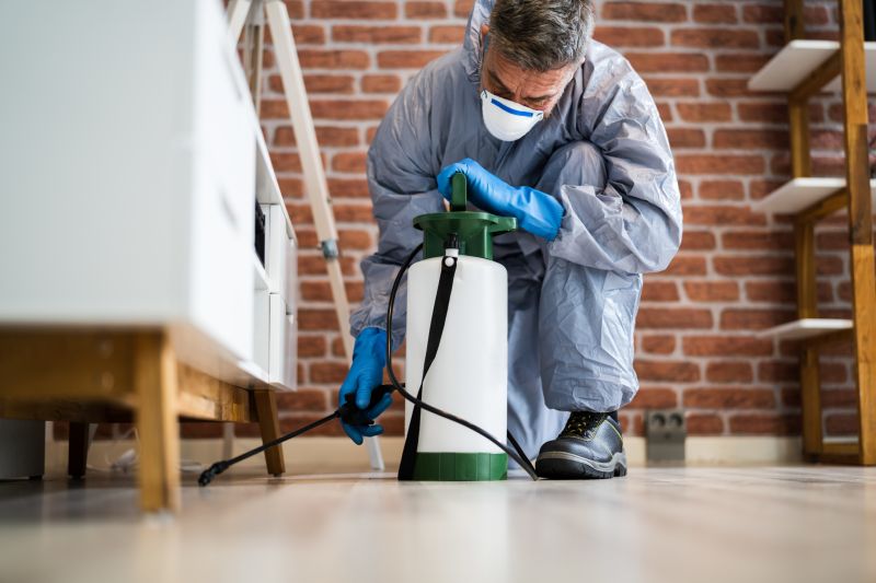 Local Flea Fumigation in South Houston, TX