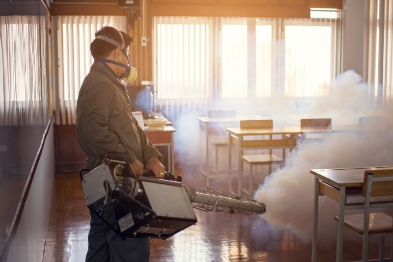 Insect Control Service