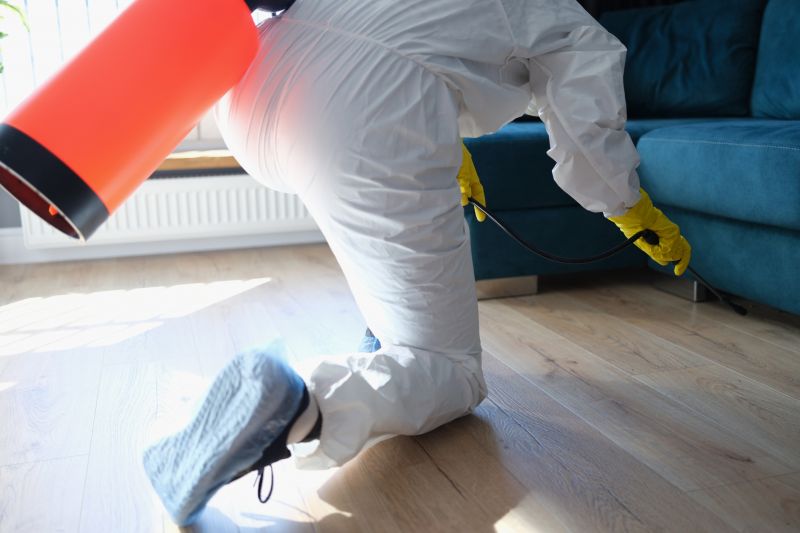 Local Insect Control Service in Spring, TX
