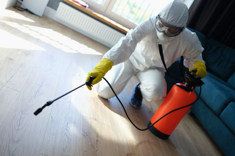 Local Insect Extermination Service in Yorkville, IL