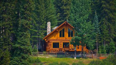 Local Log Home Staining in Savage, MN