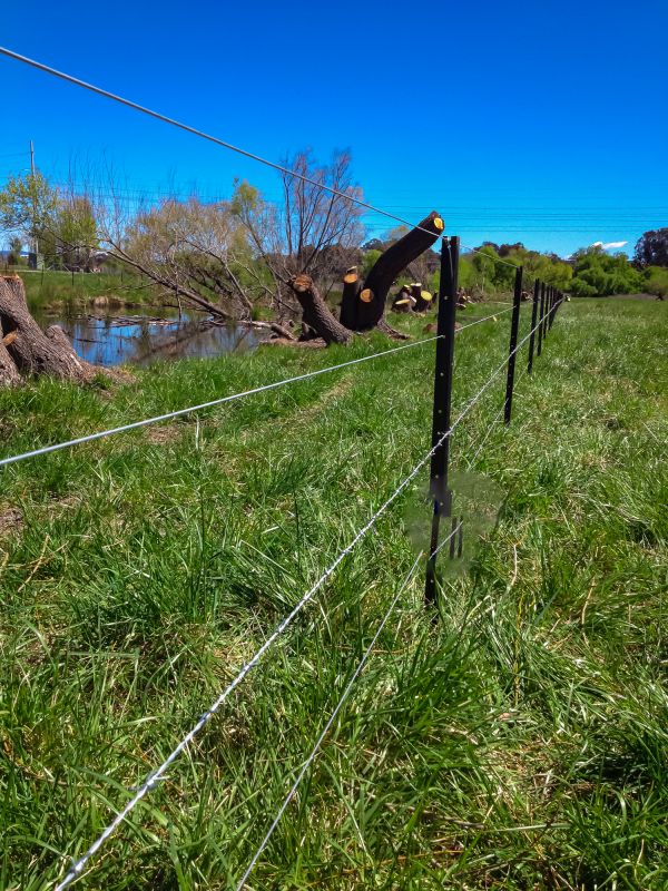 Local Metal Fence Installation in Muncie, IN