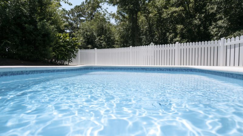 Local Pool Fence Painting in Anoka, MN