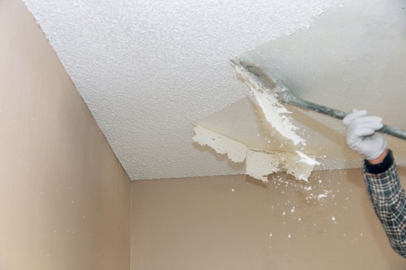 Local Popcorn Ceiling Removal in Eden Prairie, MN