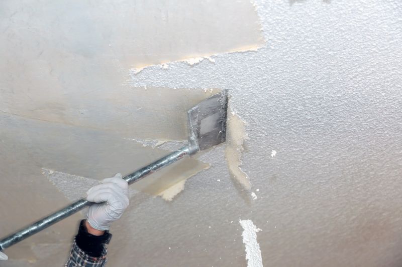 Local Popcorn Ceiling Repair in Andover, MN