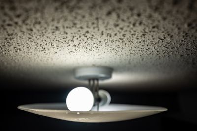 Popcorn Ceiling Repair