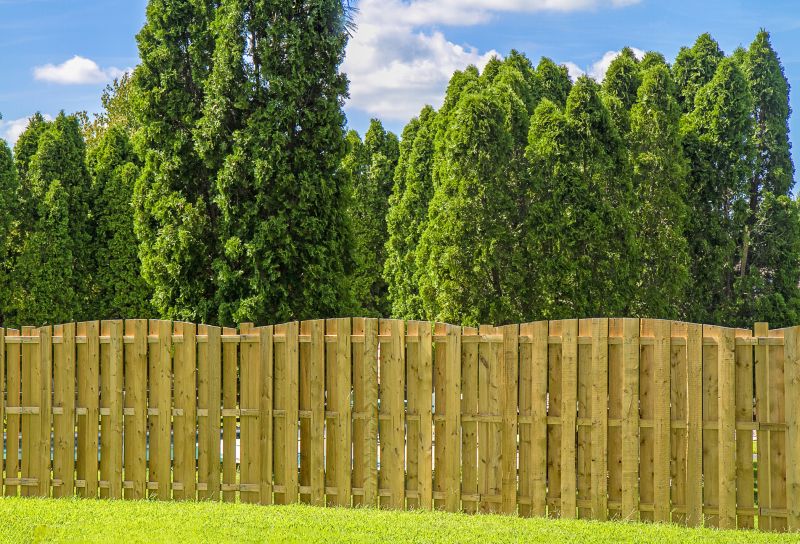 Local Privacy Fence Installation in Oskaloosa, IA