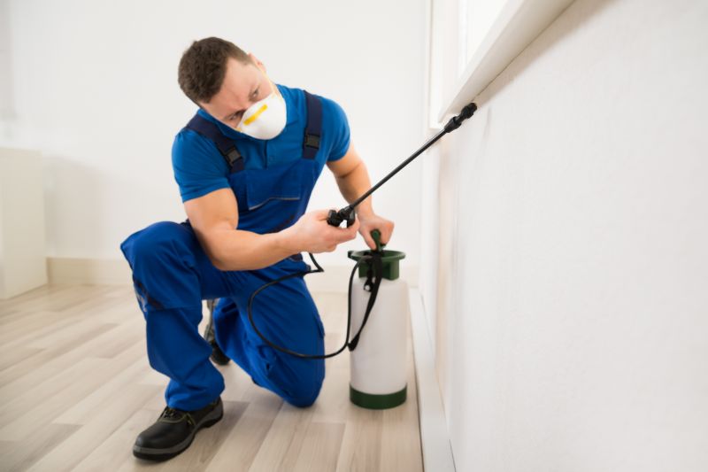 Local Red Ant Extermination in Cypress, TX