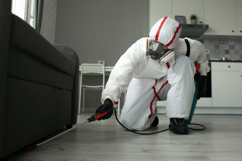 Local Residential Pest Control in Chicago Heights, IL