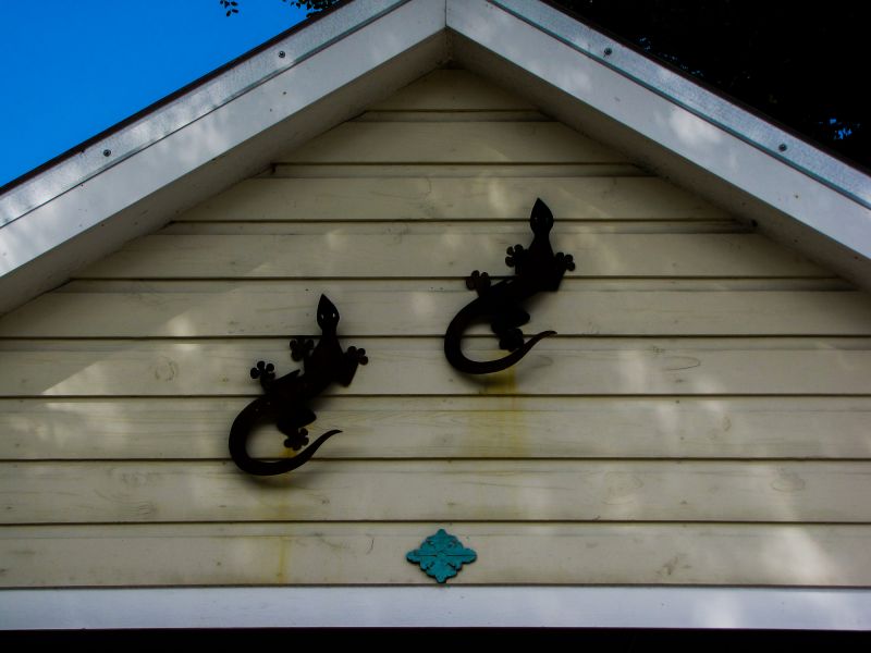 Local Shiplap Painting in Lakeville, MN