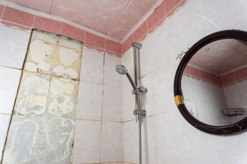 Local Shower Remodeling in Richardson, TX