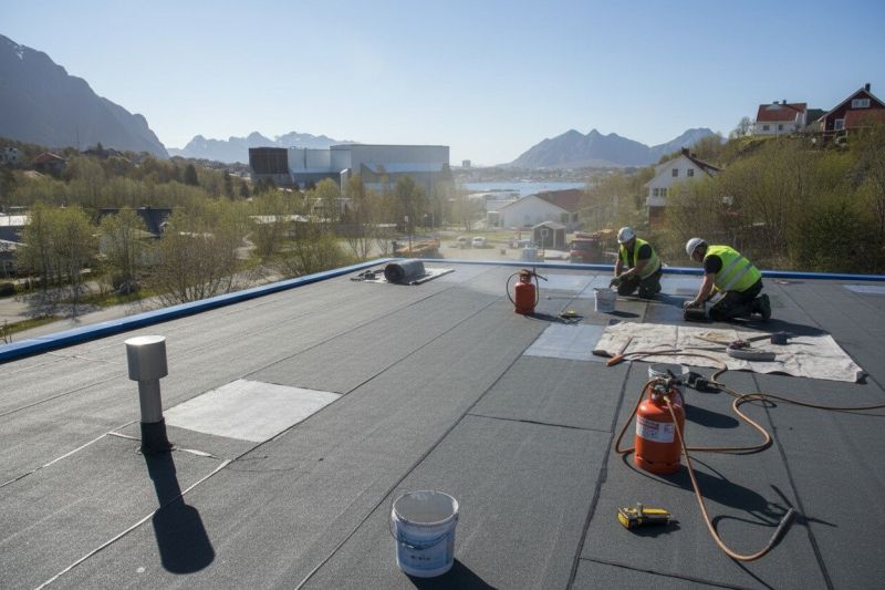 Local Single Ply Roof Installation in Mcdonough, GA