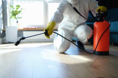 Local Spider Extermination Service in Des Plaines, IL