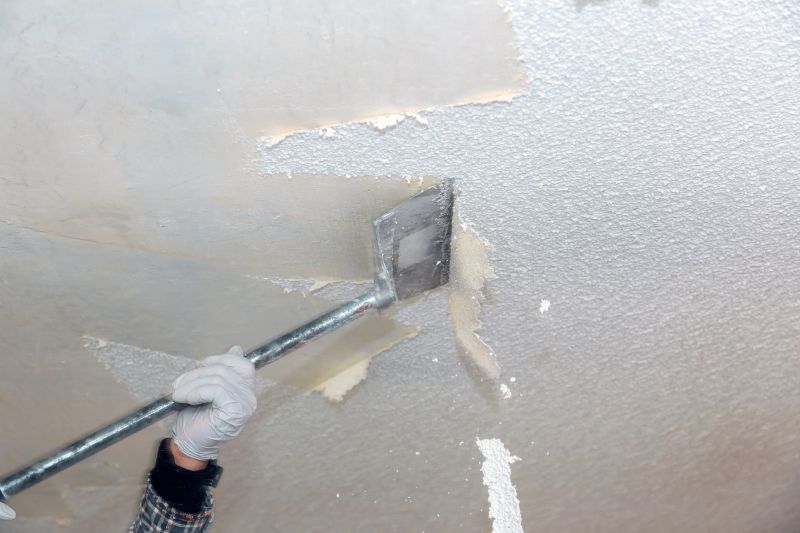 Local Swirl Ceiling Removal in Rosemount, MN
