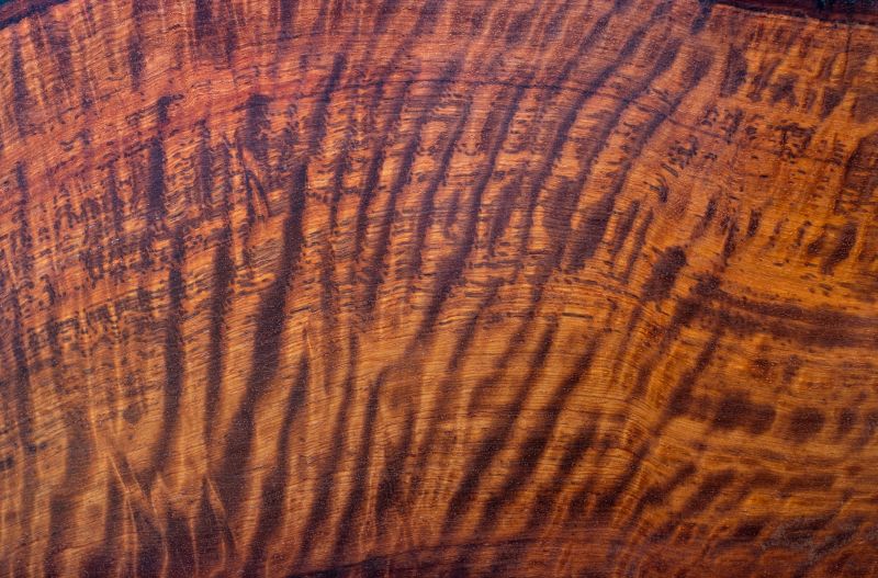 Tiger Wood Floor Installation
