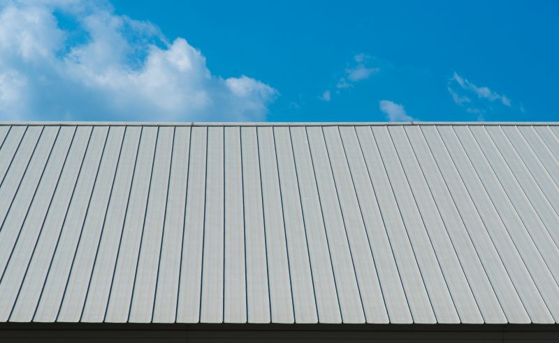 Local Tin Roof Installation in Loganville, GA