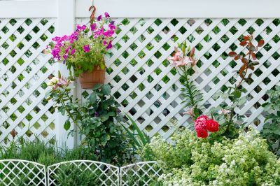 Local Vinyl Fence Installation in Cortland, NY