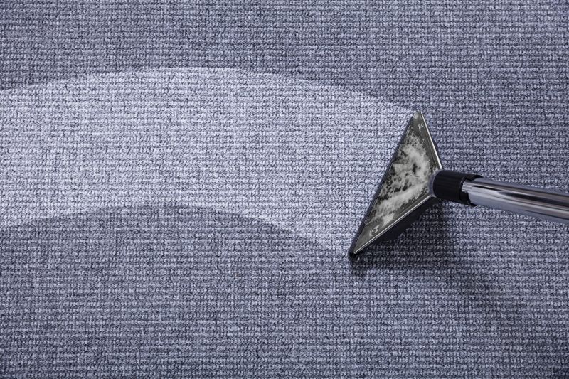 Local Wet Carpet Restoration in Laveen, AZ