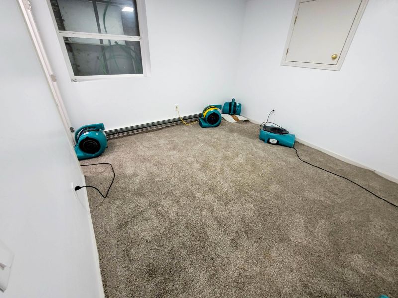 Local Wet Carpet Restoration in Maricopa, AZ