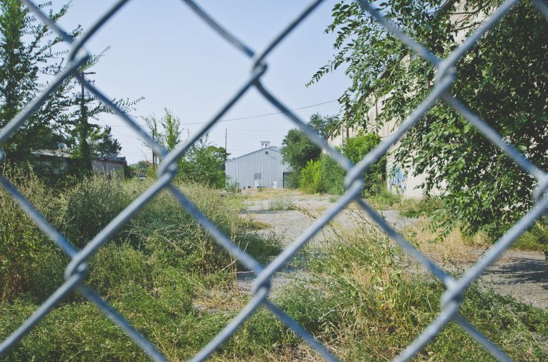 Local Wire Fence Painting in Excelsior, MN