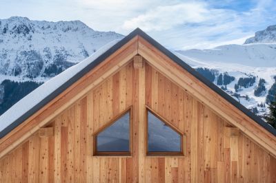 Wood Composite Siding Service